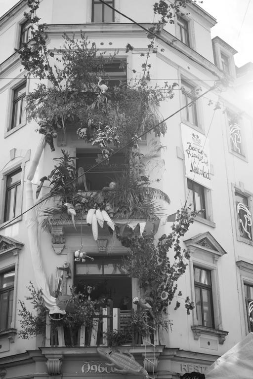 Mirabelle - Wohnen In Der Dresdner Neustadt Dresden Buitenkant foto